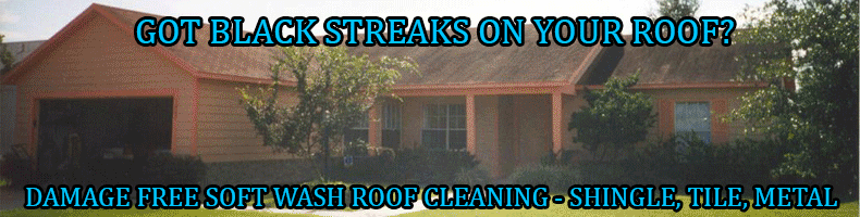 Click Here to Read More about Shingle Roof Cleaning, Tile Roof Cleaning, and MEtal Roof Cleaning Services in North Port, Venice, Sarasota, Englewood, Port Charlotte, Punta Gorda